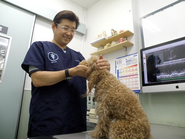 亀戸動物総合病院