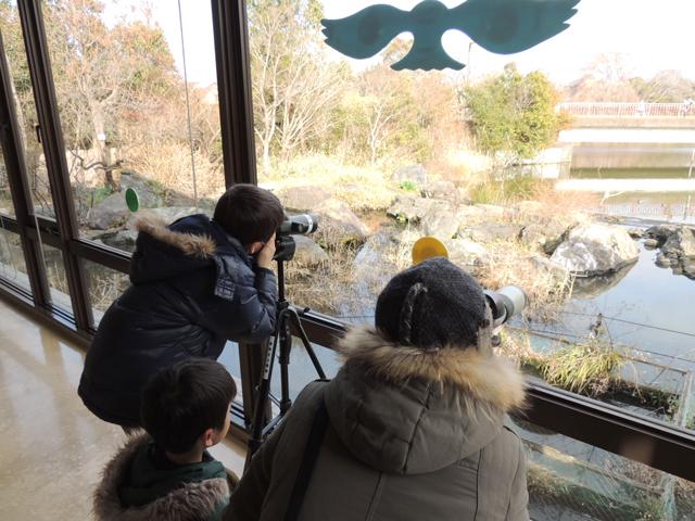 水元かわせみの里