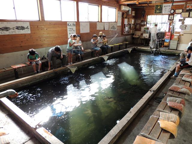 つり堀 曳舟園